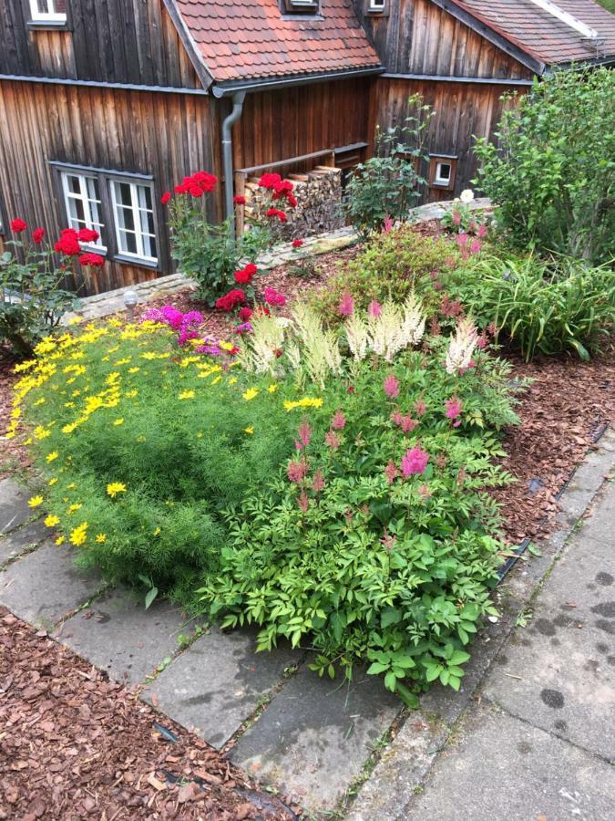 Haus Bergfriede Hotel Bad Schandau Luaran gambar